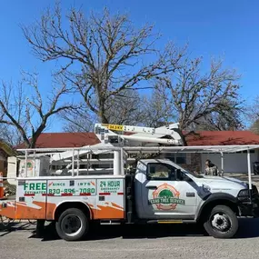 Bild von Texas Tree Service