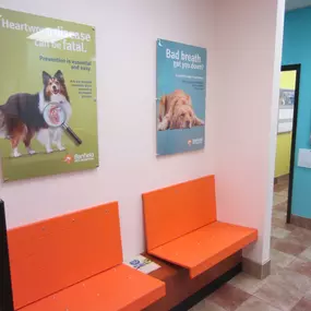 Bild von Banfield Pet Hospital