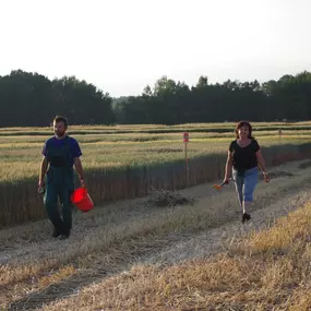 Bild von VP AGRO, spol. s r.o.