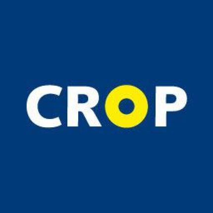 Logo da CROP accountants & adviseurs