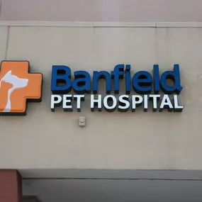 Banfield Pet Hospital - Flagler