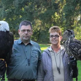 Valkenhof Roofvogel Demonstraties