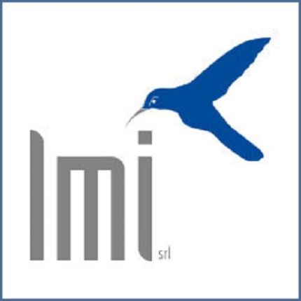 Logo von Lmi