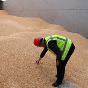 Buijs Groot Ammers Zand Grind & Overslag