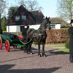 paard in de 