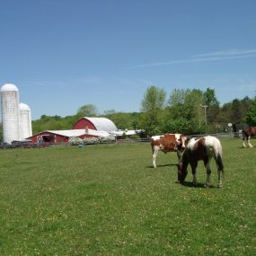 Bild von Thousand Trails Gettysburg Farm