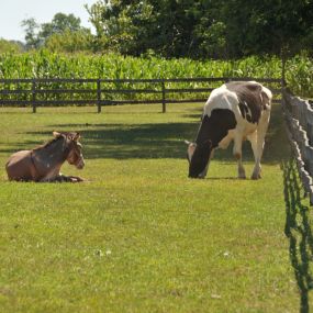 Bild von Thousand Trails Gettysburg Farm