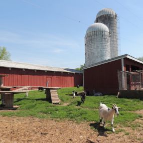 Bild von Thousand Trails Gettysburg Farm