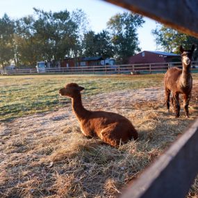 Bild von Thousand Trails Gettysburg Farm