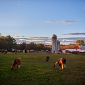 Bild von Thousand Trails Gettysburg Farm