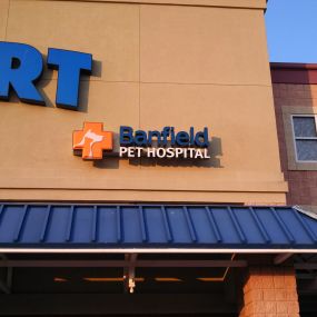 Banfield Pet Hospital - Wilmington