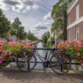 Mauritskade - Frederikstraat Willemspark Den Haag