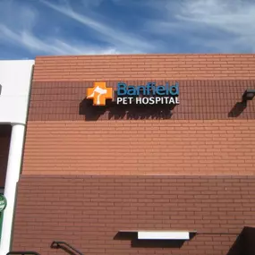 Banfield Pet Hospital® - La Jolla