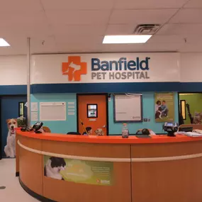 Bild von Banfield Pet Hospital - CLOSED