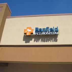 Banfield Pet Hospital - Avondale