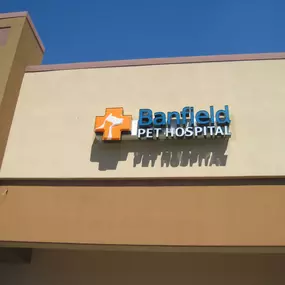 Banfield Pet Hospital - Avondale