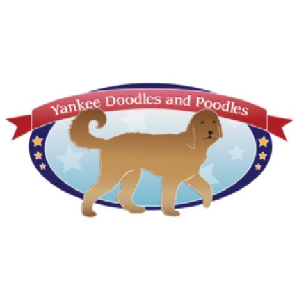 Logo from Yankee Doodles and Poodles