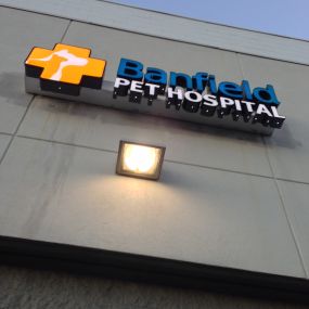 Banfield Pet Hospital® - Danvers