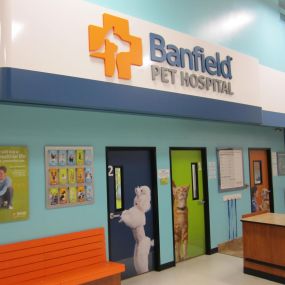 Bild von Banfield Pet Hospital