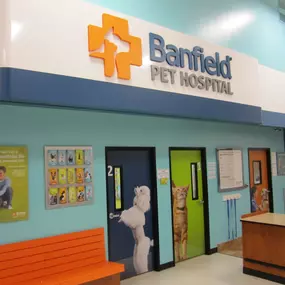 Bild von Banfield Pet Hospital