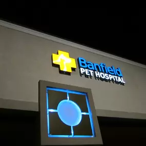 Banfield Pet Hospital - Colorado Springs