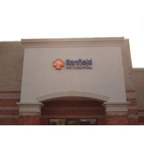 Banfield Pet Hospital - Augusta