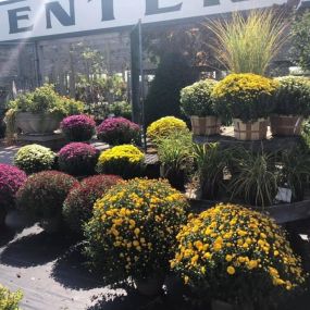 Find your garden’s missing piece at Steve’s Elk River Nursery.