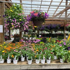 Sow the seeds of success with the help of Steve’s Elk River Nursery.