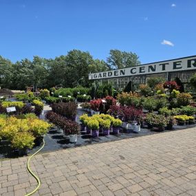 Green thumbs up! Explore our wide selection of plants and flowers.