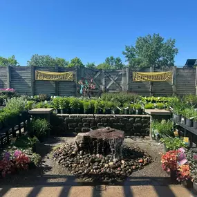 Planting dreams, one pot at a time. Come visit us today!