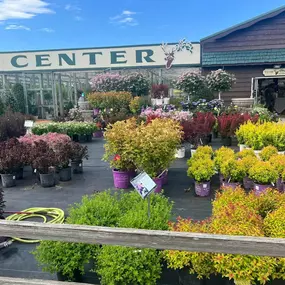 Discover the roots of beauty at Steve’s Elk River Nursery.