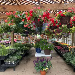 Root for the best! Visit Steve's Elk River Nursery for all your plant needs.