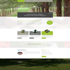 Web Design for Merritt Brothers Tree Farm.
