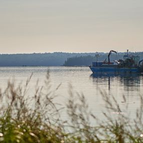 Bild von Narrows Too Campground