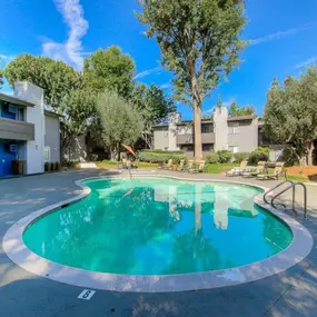 Picturesque Pool with Wraparound Sundeck