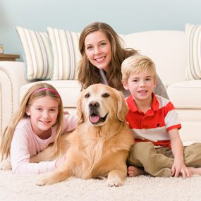 We use our product called The Natural to safely clean your carpets for your children and pets.