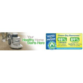 Chem-Dry removes allergens from your home!