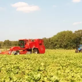 Antuma Landbouw-en loonbedrijf B.V