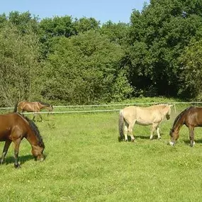 Kennemergaarde Manege