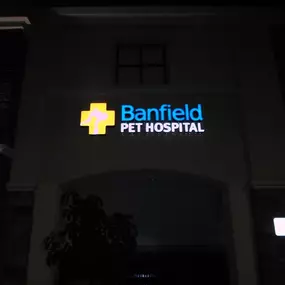 Banfield Pet Hospital® - Ventura