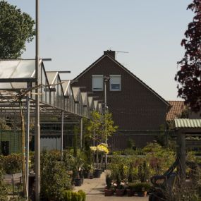Tuincentrum Den Elsenhof