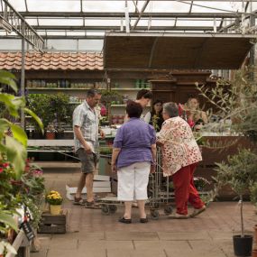 Tuincentrum Den Elsenhof