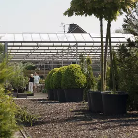 Tuincentrum Den Elsenhof