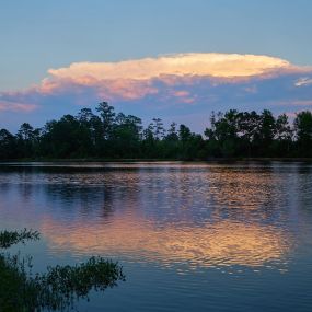 Bild von Twin Lakes Campground