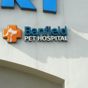 Banfield Pet Hospital - Hickory