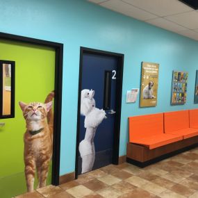 Bild von Banfield Pet Hospital