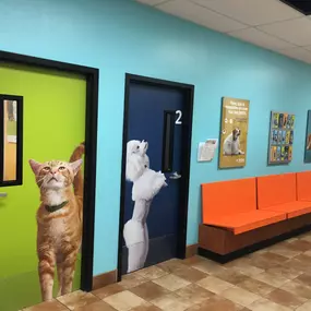 Bild von Banfield Pet Hospital