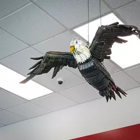 Bild von Tire Discounters
