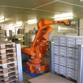 robot eierpalletisering