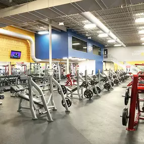 Bild von Club Fitness - Florissant